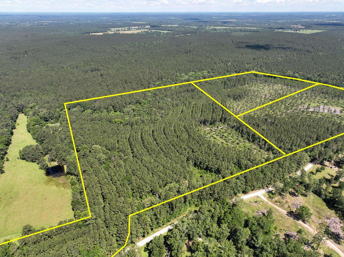 38 Groveton Flat Prairie Road Groveton, TX 75845 - Photo 2 of 9