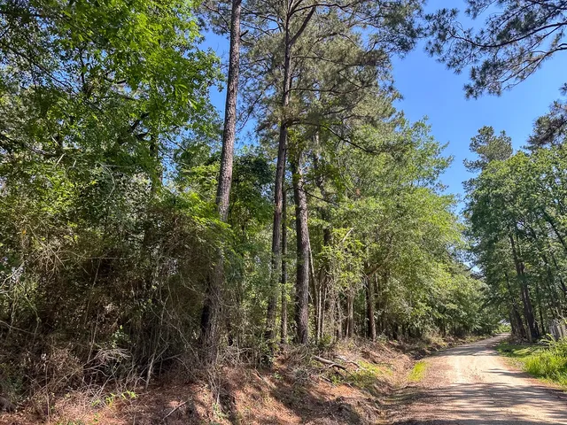 $128,000 | 38 Groveton Flat Prairie Road, Groveton, TX 75845