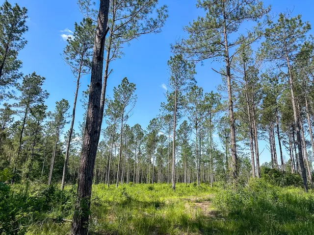 $128,000 | 38 Groveton Flat Prairie Road, Groveton, TX 75845