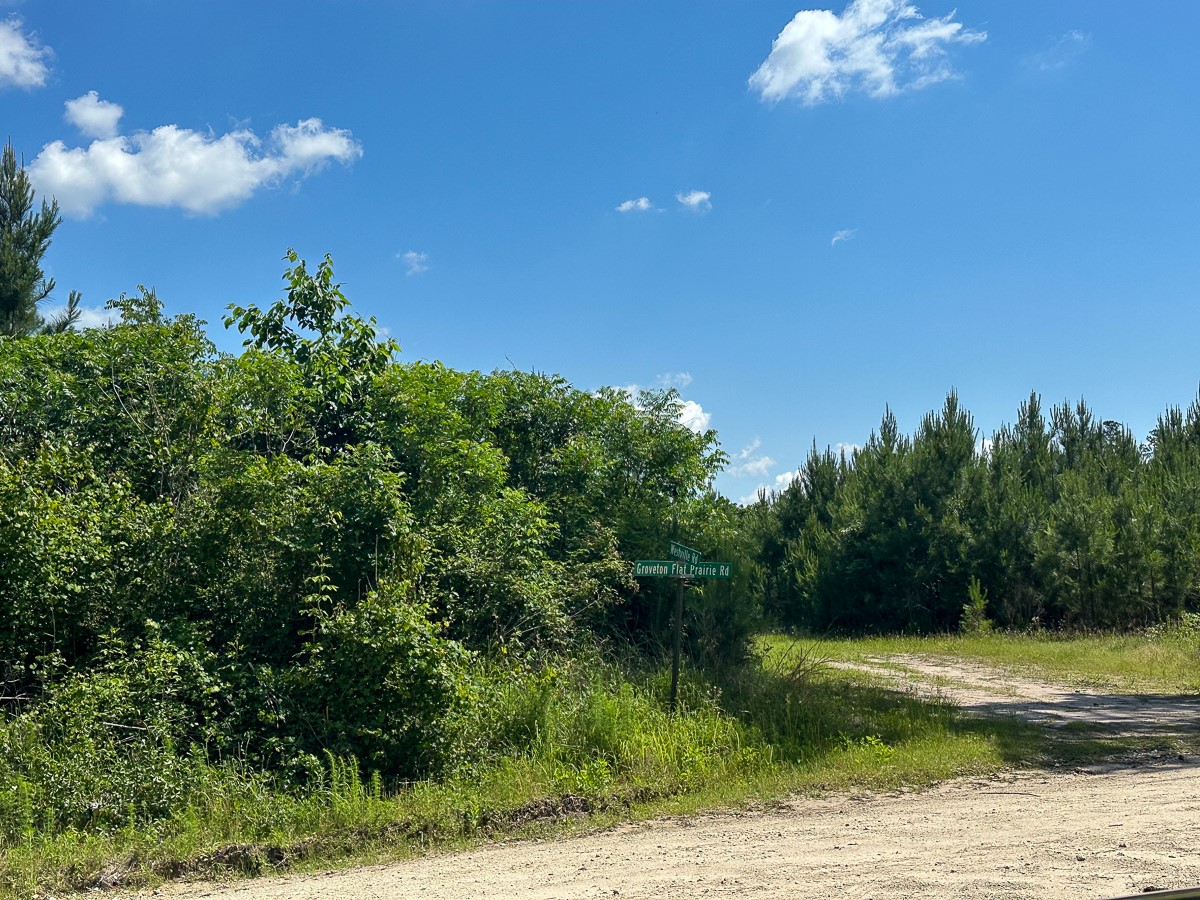 38 Groveton Flat Prairie Road Groveton, TX 75845 - Photo 6 of 9