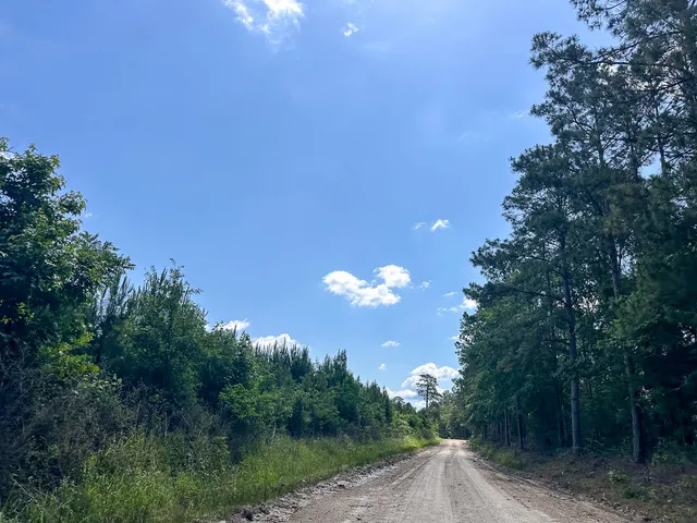 $128,000 | 38 Groveton Flat Prairie Road, Groveton, TX 75845