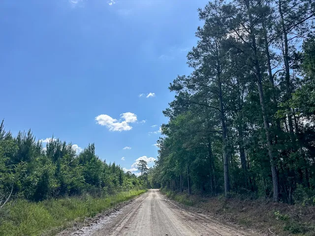 $128,000 | 38 Groveton Flat Prairie Road, Groveton, TX 75845