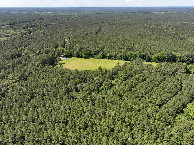 $128,000 | 38 Groveton Flat Prairie Road, Groveton, TX 75845