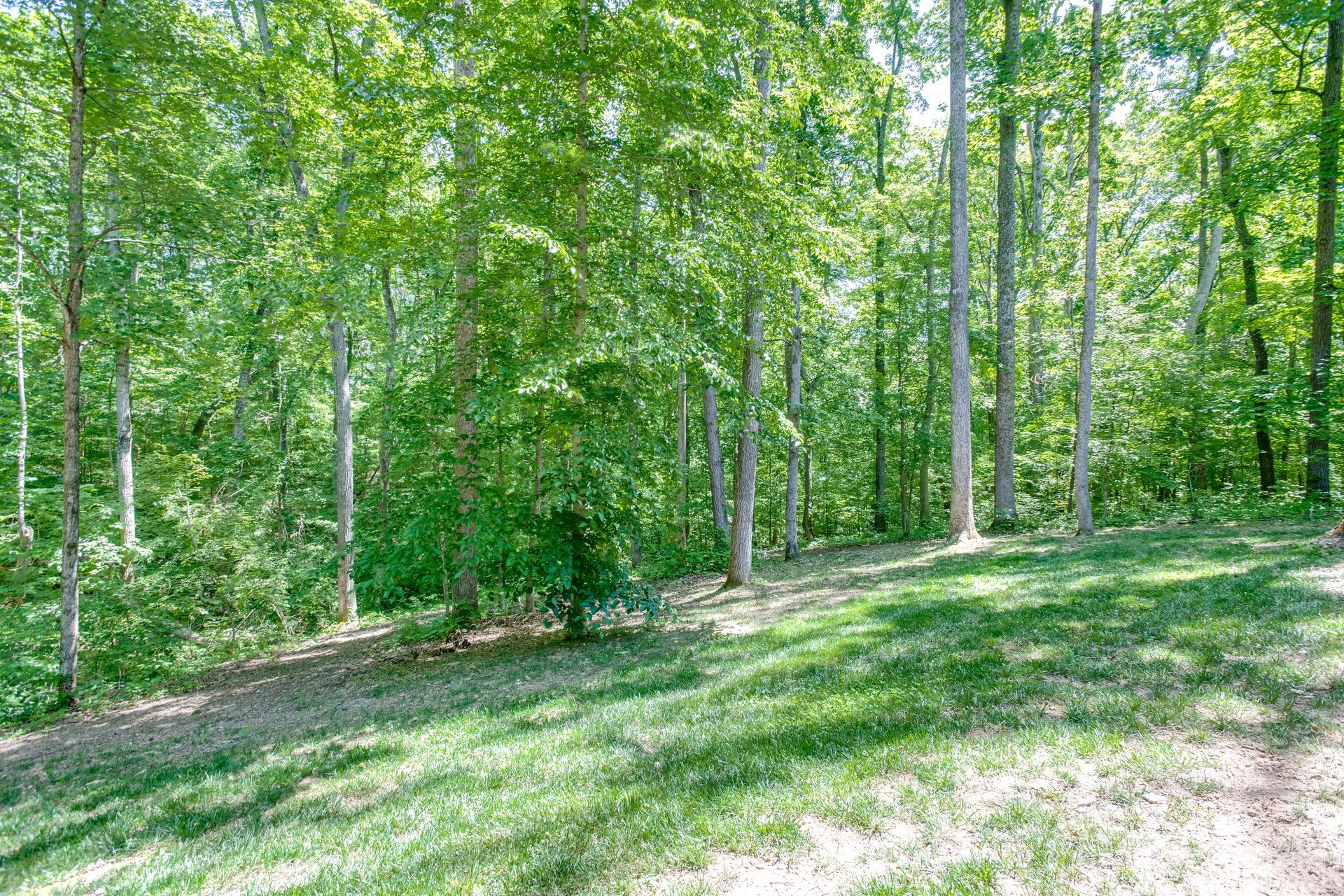217 Brown Owl Road Fairview, TN 37062 - Photo 9 of 49 Gallery Image 9