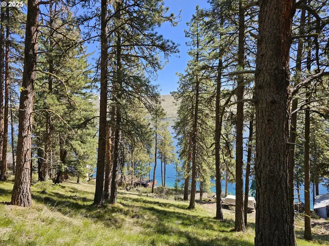 a view of outdoor space with trees
