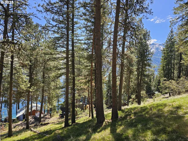 a view of outdoor space with lots of trees