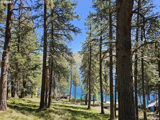 a view of outdoor space with trees