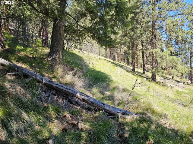 a view of a yard with wooden fence