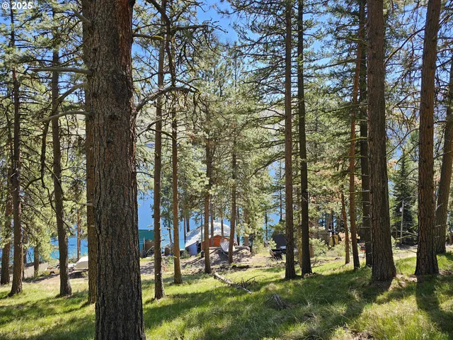 a view of outdoor space with garden