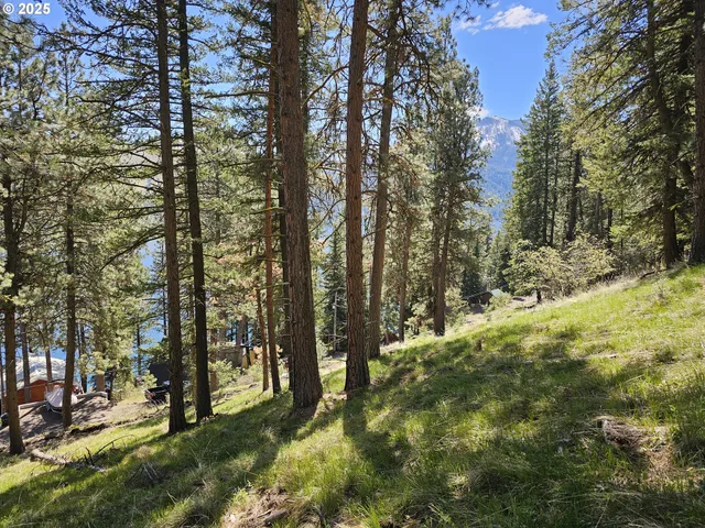 a view of outdoor space and yard
