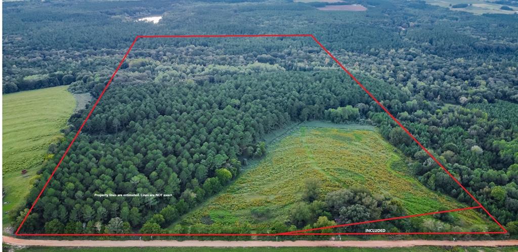 0 Double Creek Road Coffee Springs, AL 36318 - Photo 3 of 24