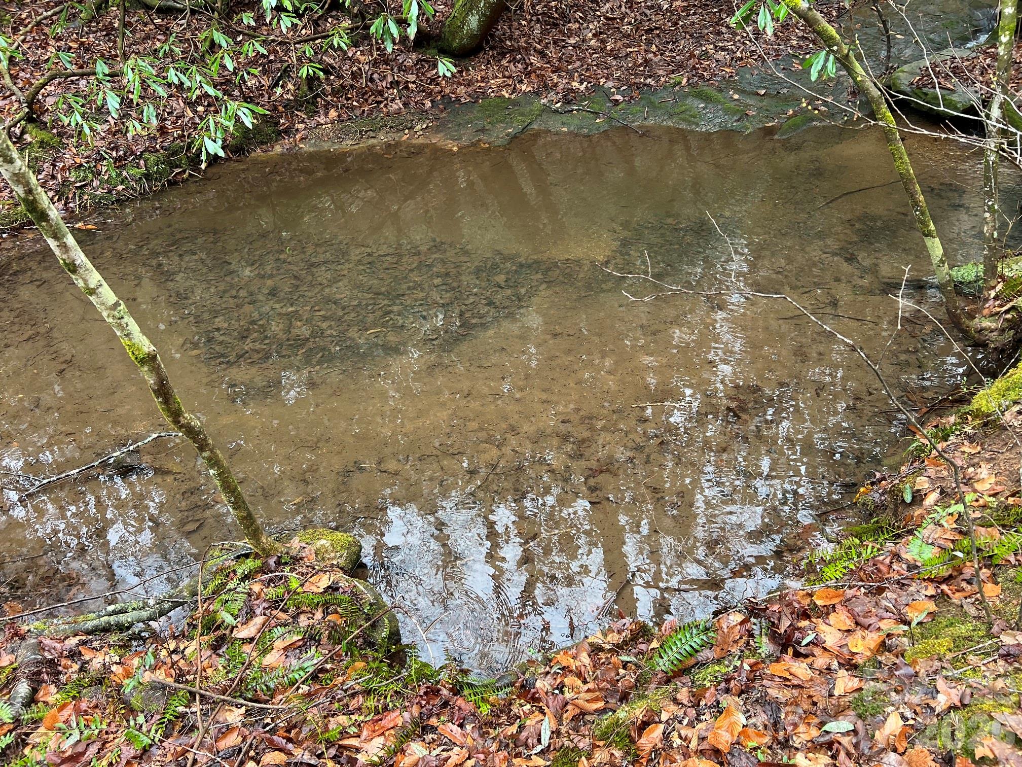 0 Russell Gap Road Moravian Falls, NC 28654 - Photo 7 of 14