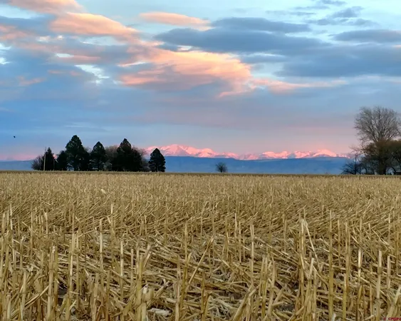 $675,990 | Tbd Cedar Road, Delta, CO 81416