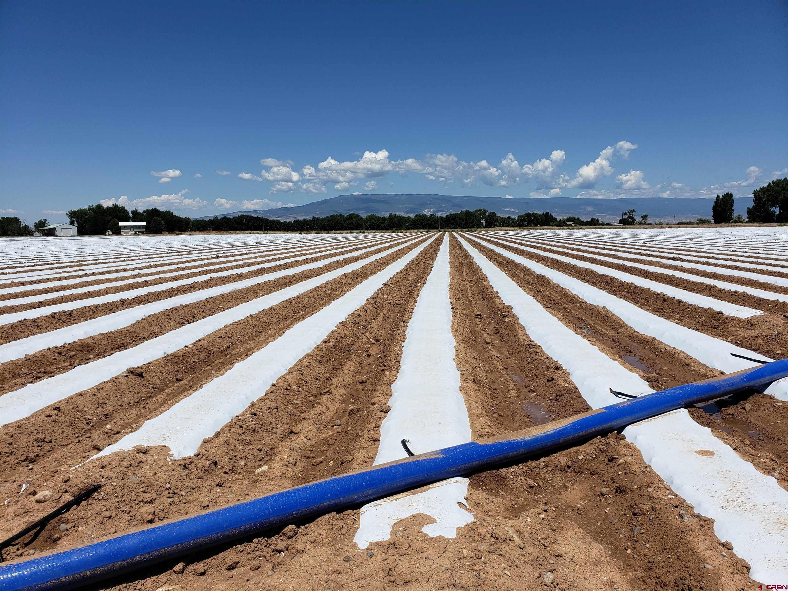 Tbd Cedar Road Delta, CO 81416 - Photo 6 of 13