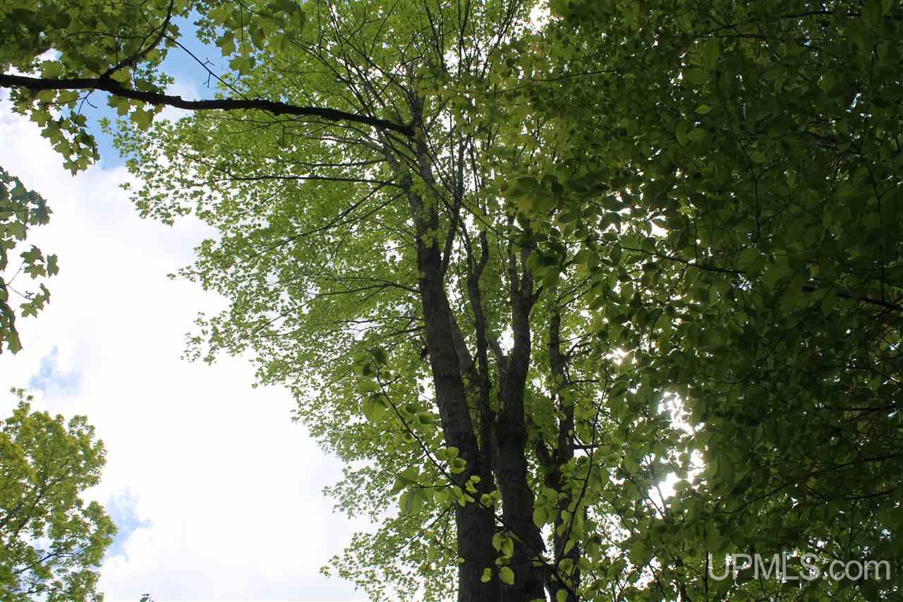 Tbd Off Kyllonen Road, Unit LAT 46 75685 LON 88 7526 Nisula, MI 49952 - Photo 16 of 24
