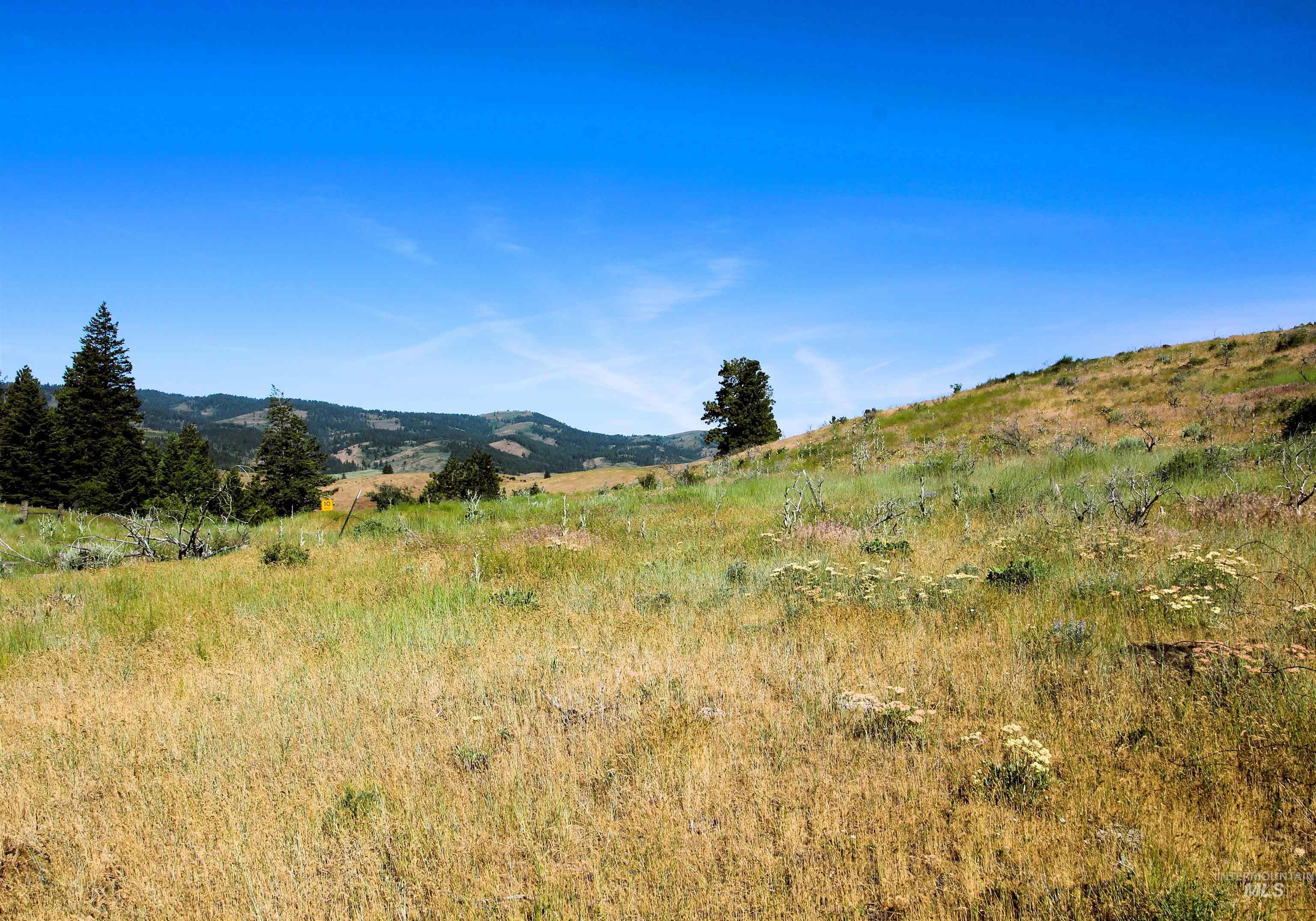 Tbd Advent Gulch Road Cambridge, ID 83610 - Photo 17 of 24