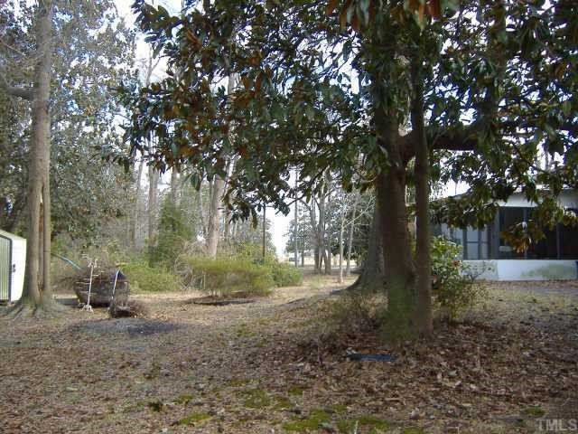 10666 Cleveland Road Garner, NC 27529 - Photo 5 of 10 a view of backyard with green space