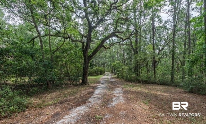 10970 County Road 99 Lillian, AL 36549 - Photo 25 of 38 Beautiful Drive of Hardwo