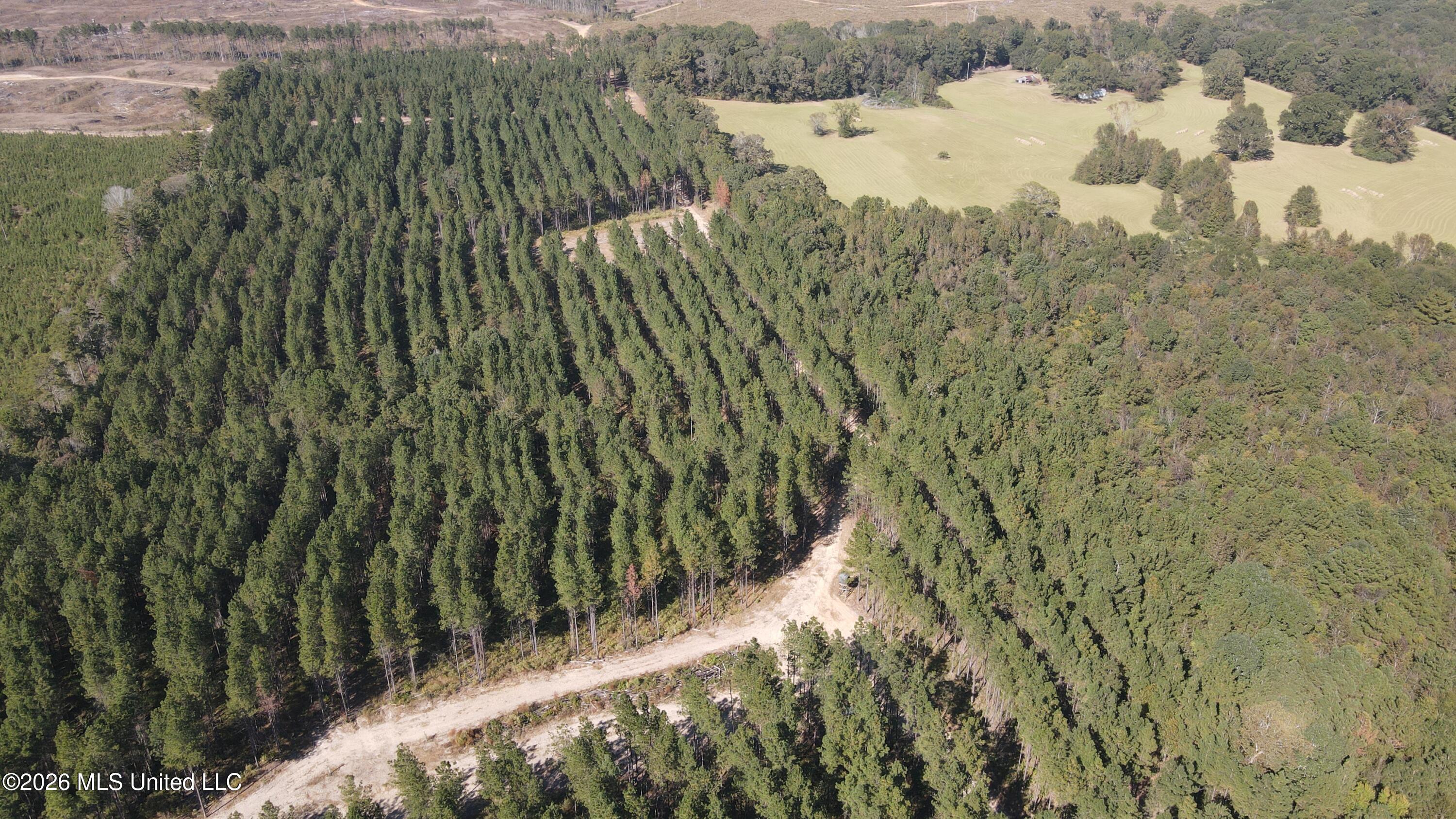 Loyd Irby Road Pelahatchie, MS 39145 - Photo 29 of 30 DJI_0207