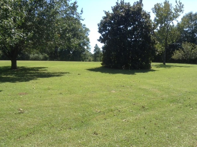 11804 Midway Road Terry, MS 39170 - Photo 6 of 14 Photo 6