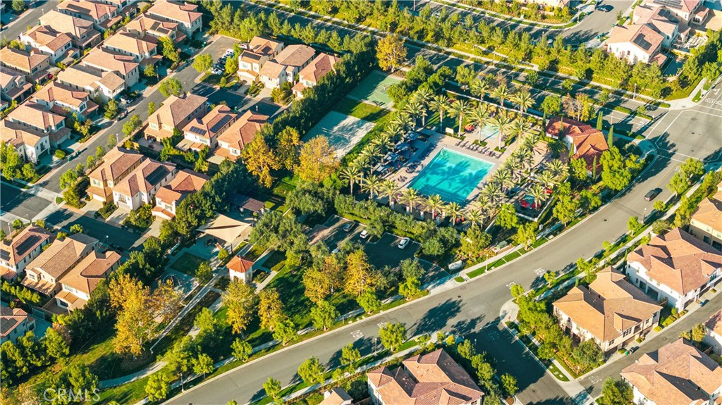 111 Lovelace Irvine, CA 92620 - Photo 53 of 55 a close up of a tree