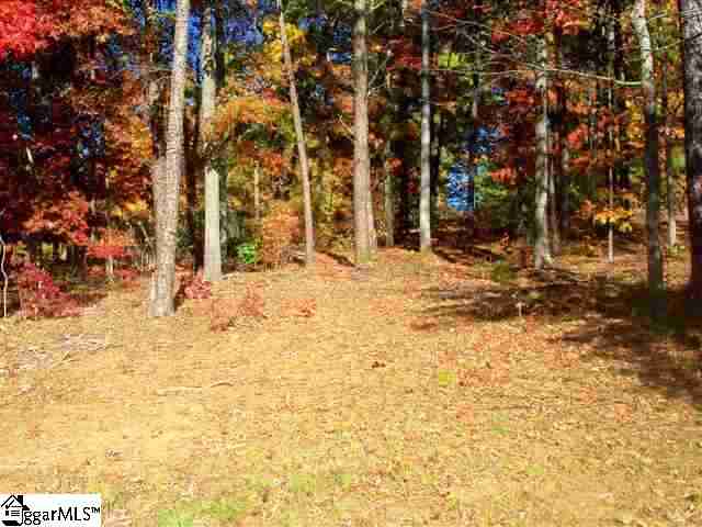 156 Edgewater Road, Unit LOT 23 Inman, SC 29349 - Photo 8 of 8
