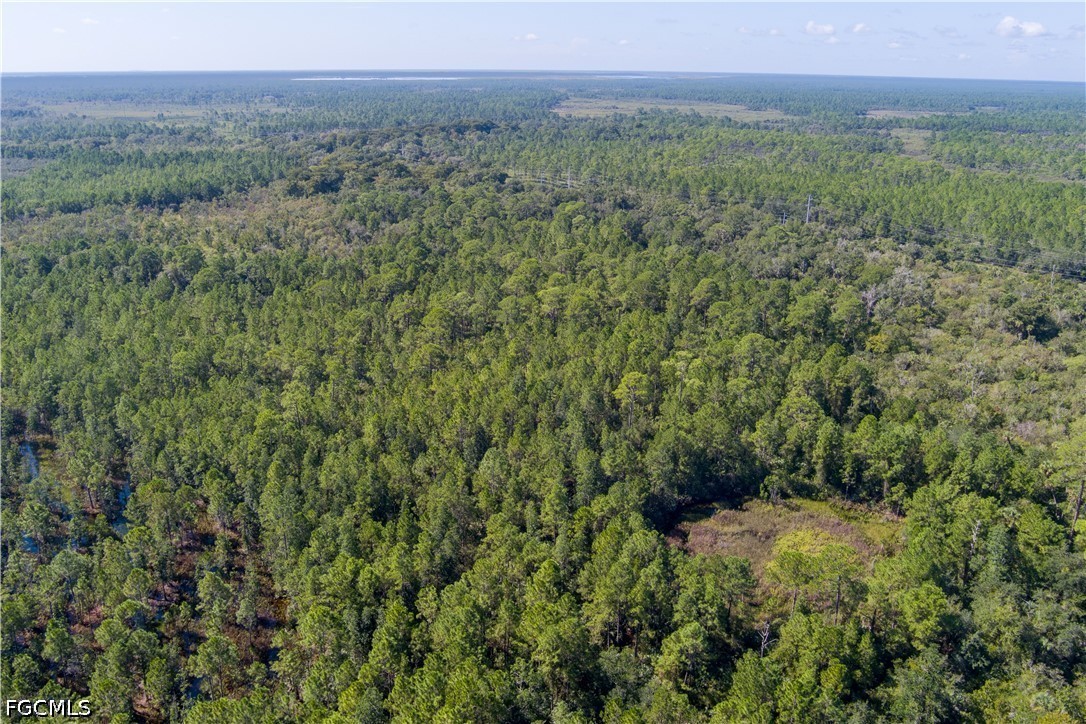 48559-39219 Gandy Road Mims, FL 32754 - Photo 20 of 24 Gallery Image 20