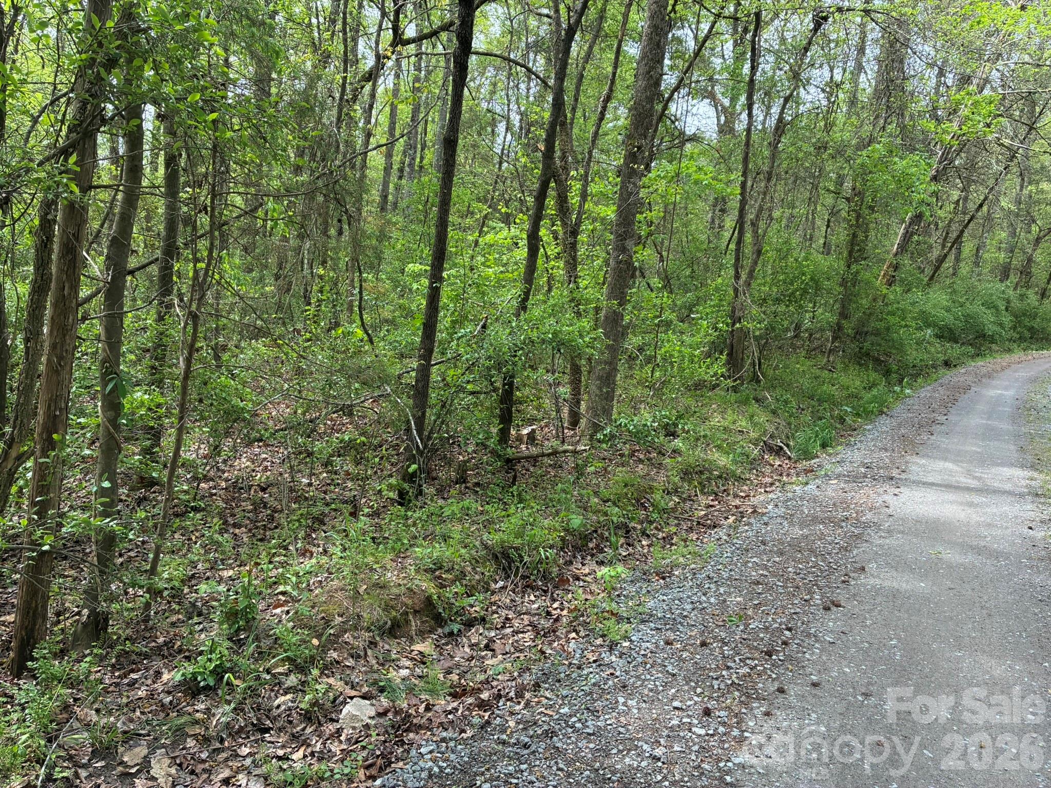 1 Miller Pond Road Rock Hill, SC 29732 - Photo 7 of 13