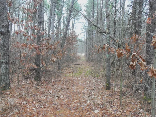 $245,000 | 1122 Badger Avenue, Nekoosa, WI 54457