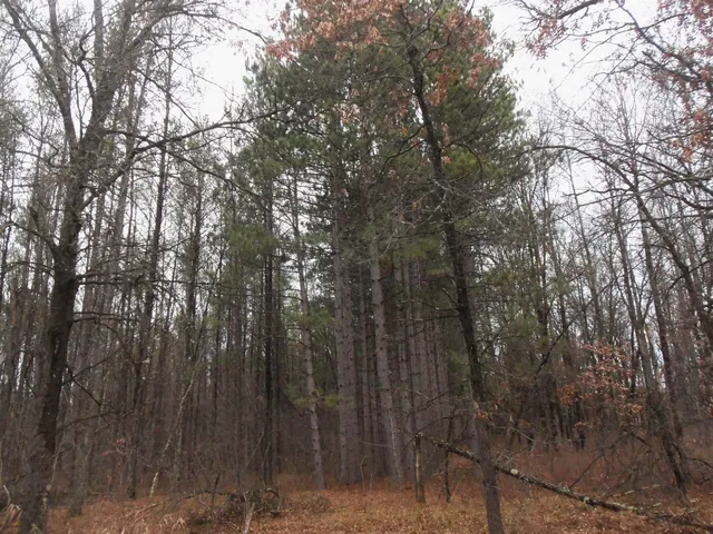 $245,000 | 1122 Badger Avenue, Nekoosa, WI 54457