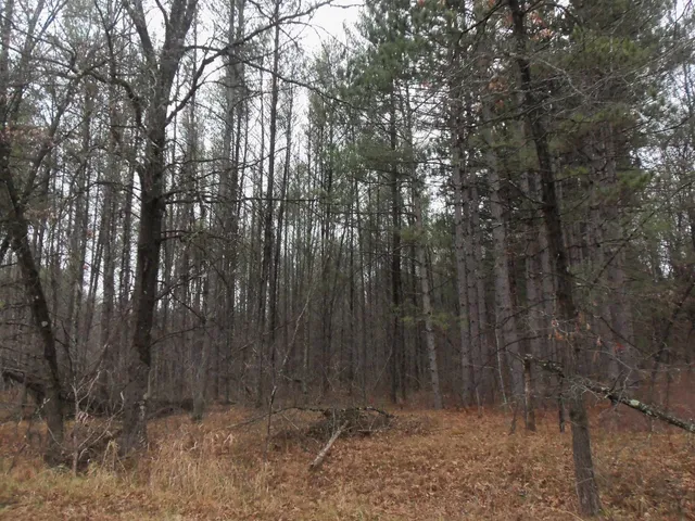 $245,000 | 1122 Badger Avenue, Nekoosa, WI 54457