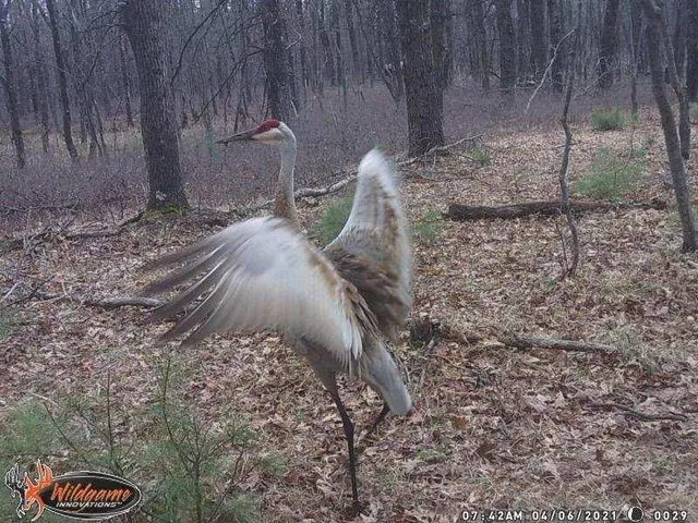 $245,000 | 1122 Badger Avenue, Nekoosa, WI 54457