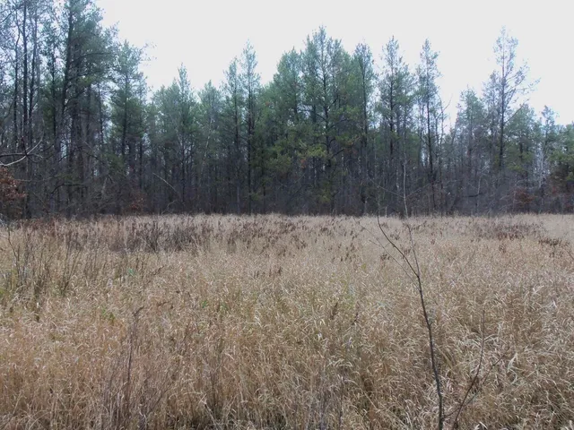 $245,000 | 1122 Badger Avenue, Nekoosa, WI 54457