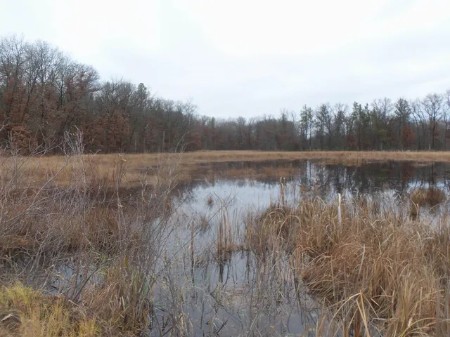 $245,000 | 1122 Badger Avenue, Nekoosa, WI 54457