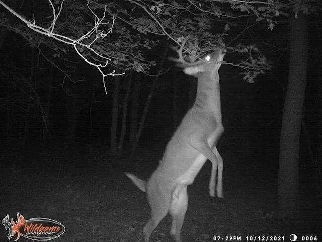 $245,000 | 1122 Badger Avenue, Nekoosa, WI 54457