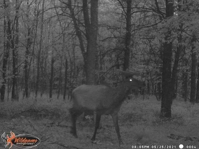 $245,000 | 1122 Badger Avenue, Nekoosa, WI 54457