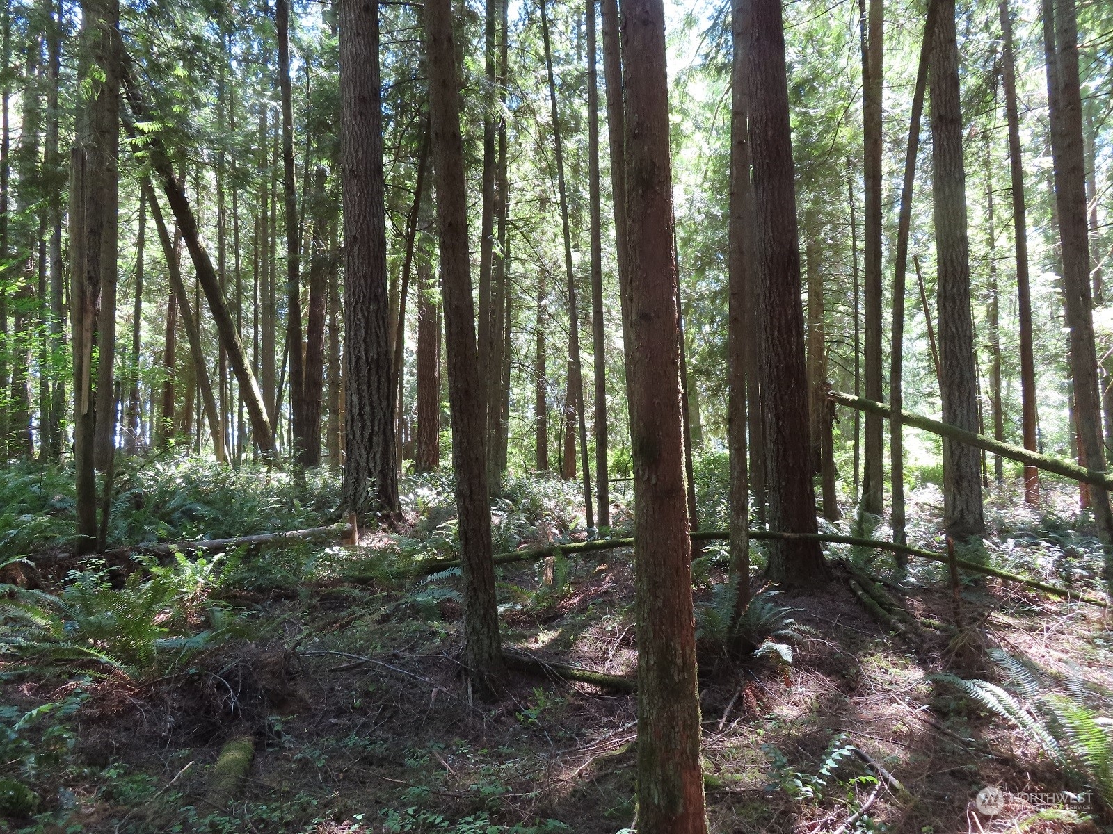 -xxx Logan Hill Road Chehalis, WA 98532 - Photo 4 of 30 Gallery Image 4