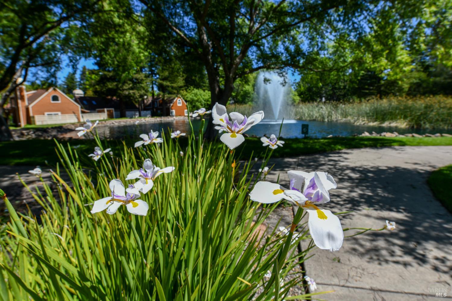 3007 Loma Court Santa Rosa, CA 95405 - Photo 35 of 43 Beautifully landscaped common areas