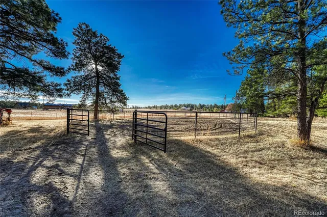 a view of a yard with wooden fence