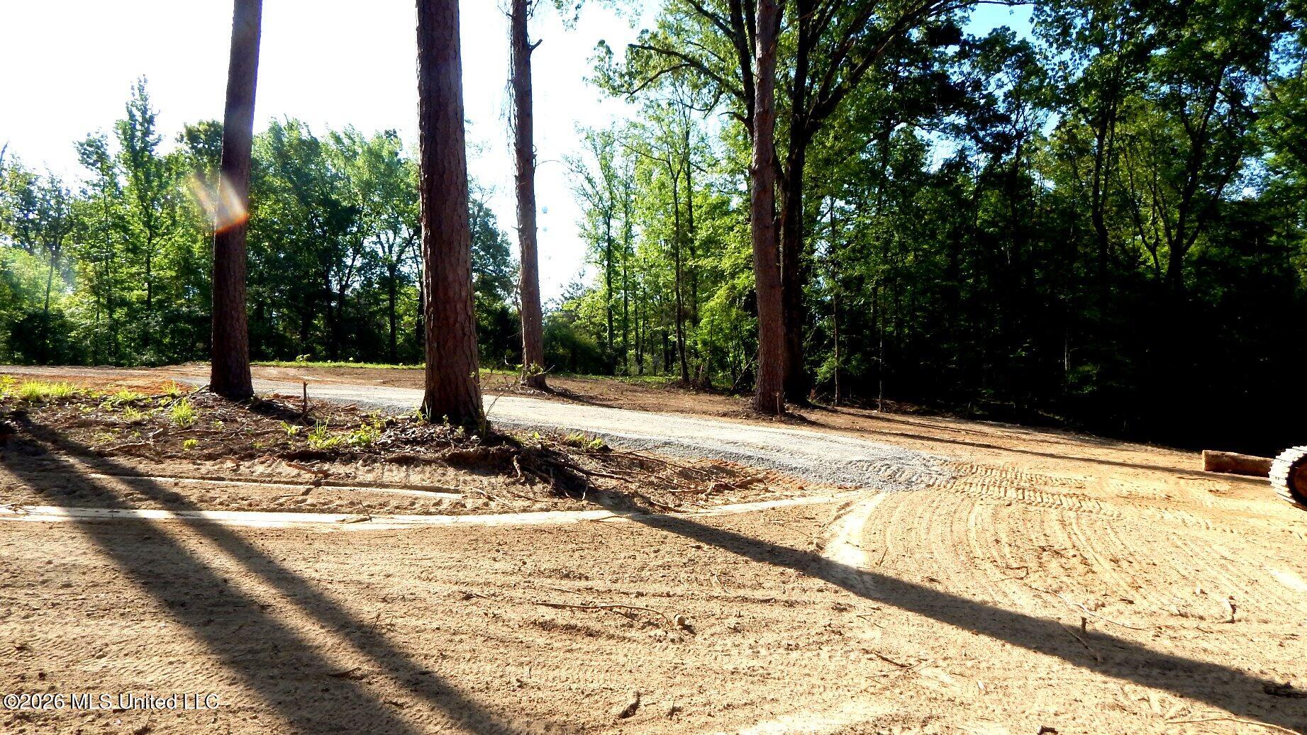 2743 Sweet Home Road Grenada, MS 38901 - Photo 7 of 9 DSCN7381