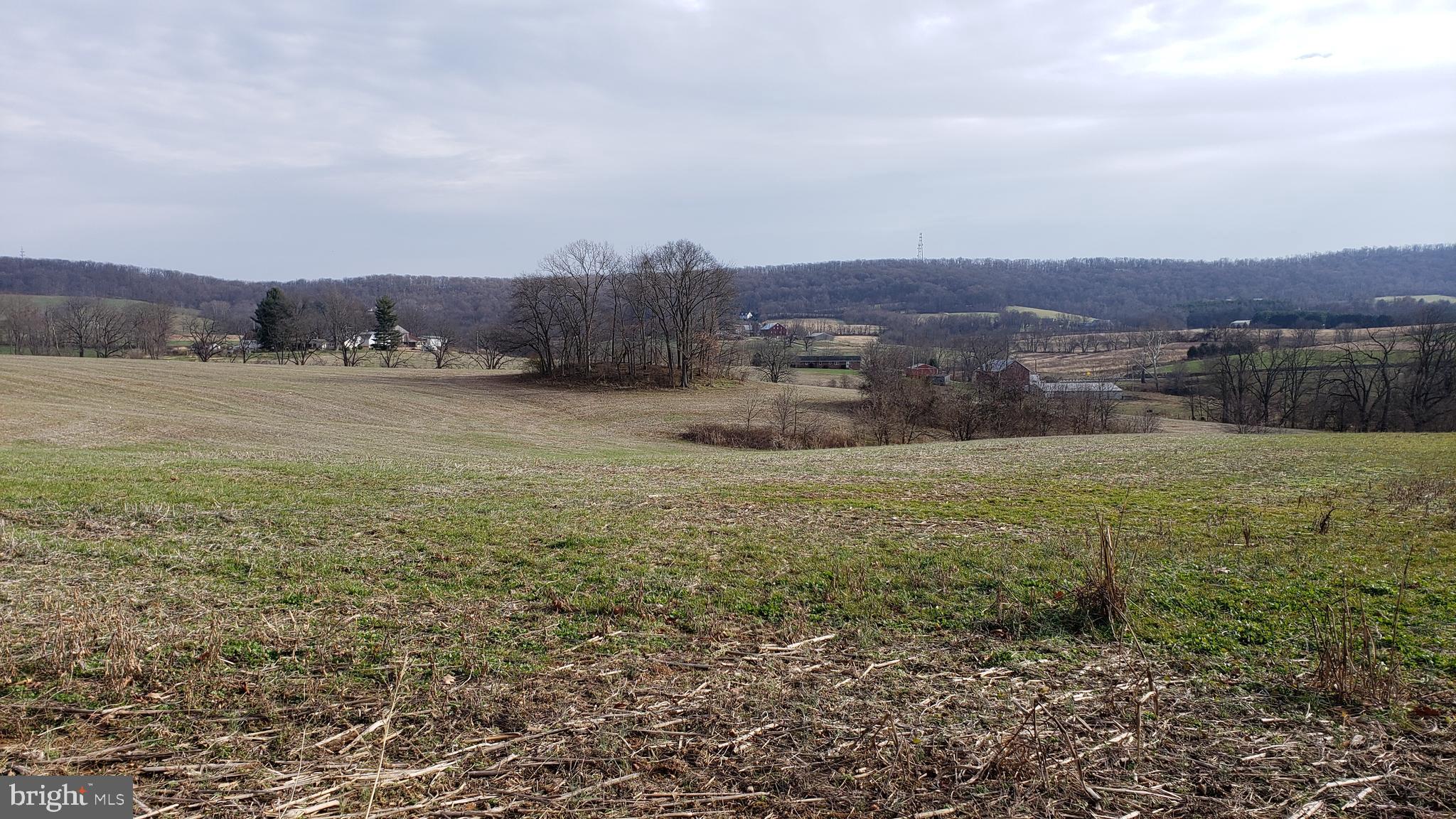 3908 Lander Road Jefferson, MD 21755 - Photo 34 of 44 a view of a field with an ocean and trees