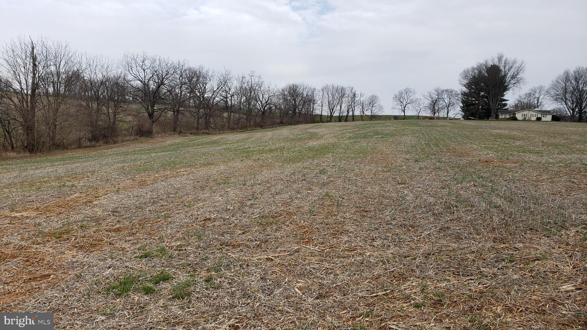 3908 Lander Road Jefferson, MD 21755 - Photo 38 of 44 a view of a field with trees in background