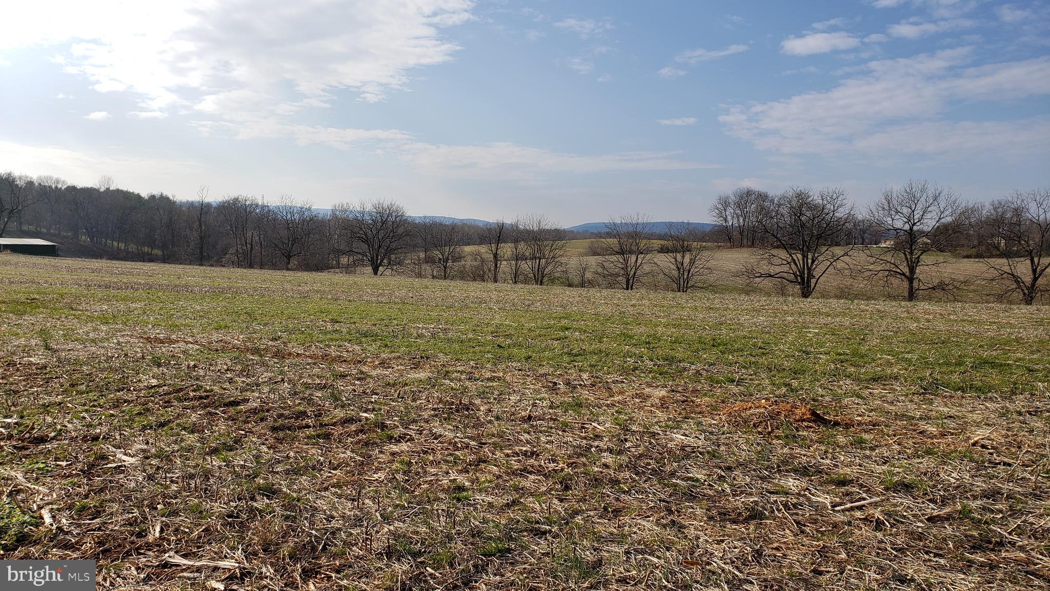 3908 Lander Road Jefferson, MD 21755 - Photo 42 of 44 a big yard with lots of green space and fog