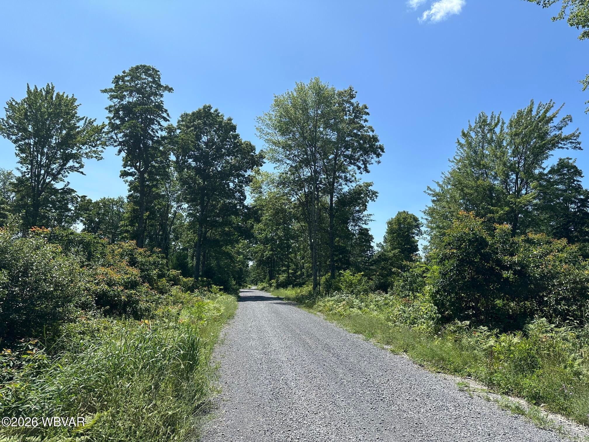 Iron Gate Road Beech Creek, PA 16822 - Photo 13 of 20 Gallery Image 13