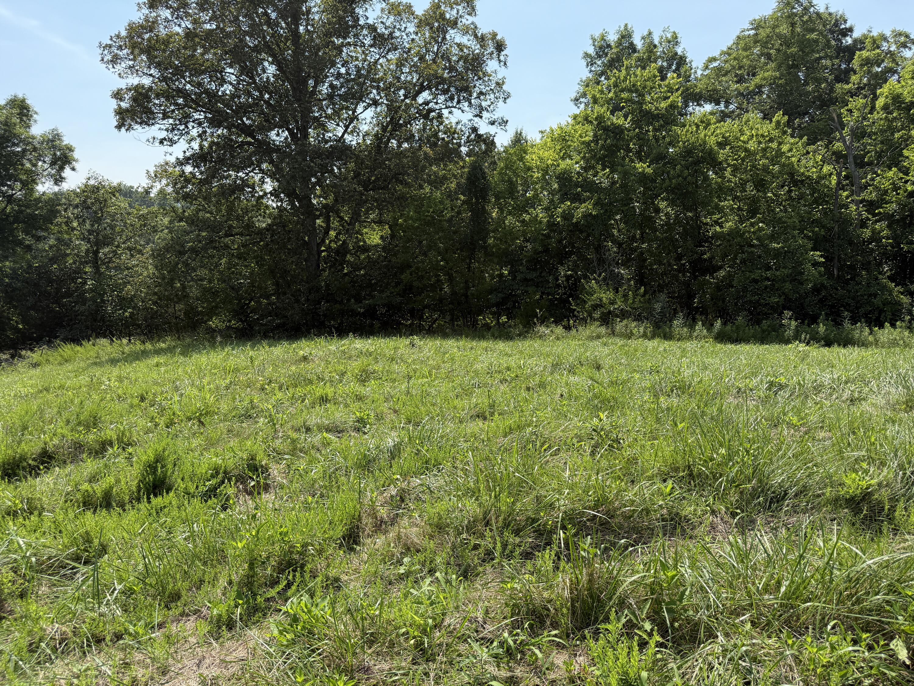 0 Goldsvalley Road Dry Ridge, KY 41035 - Photo 13 of 50
