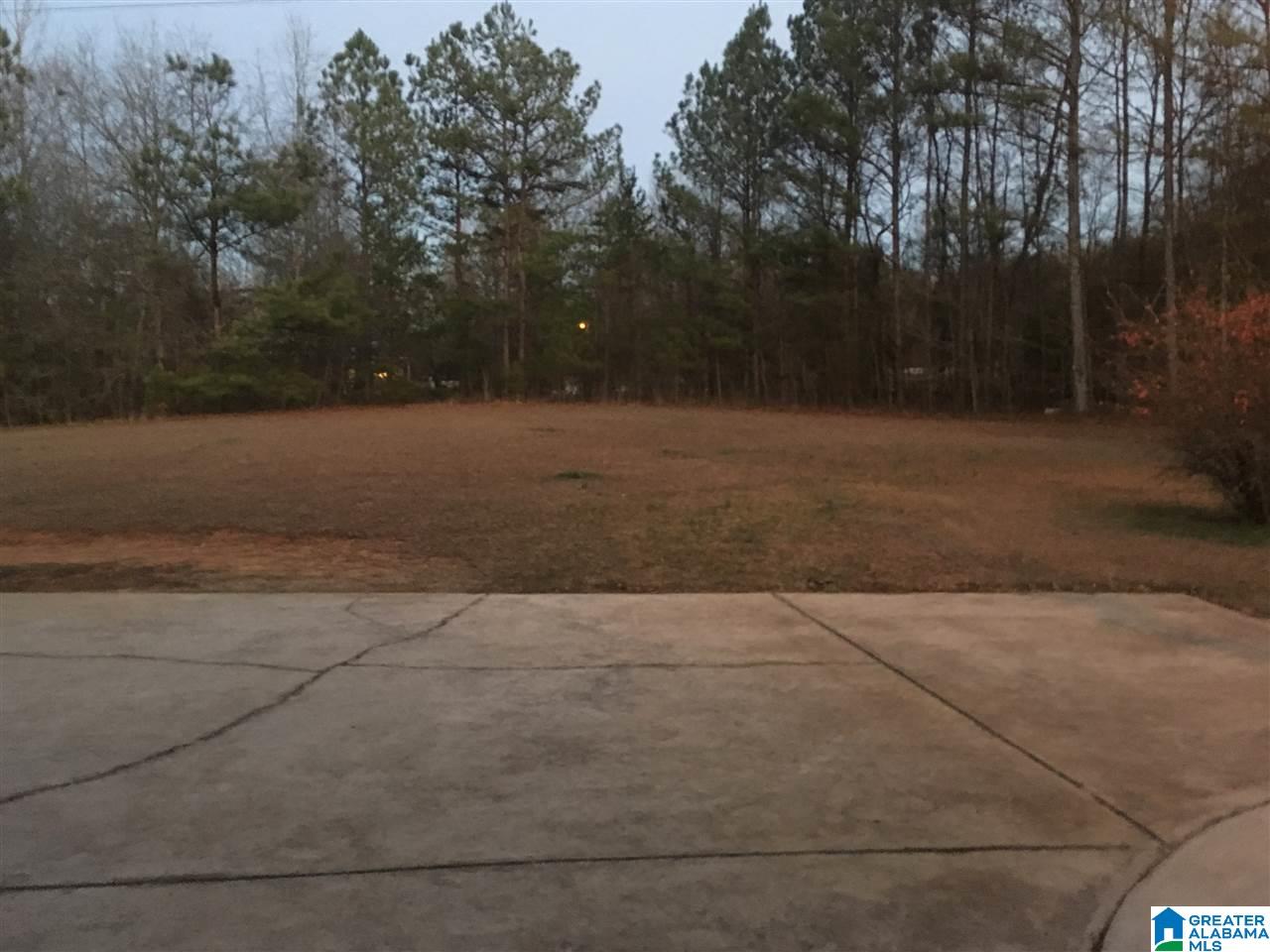 740 Seven Springs Road Wellington, AL 36279 - Photo 11 of 13