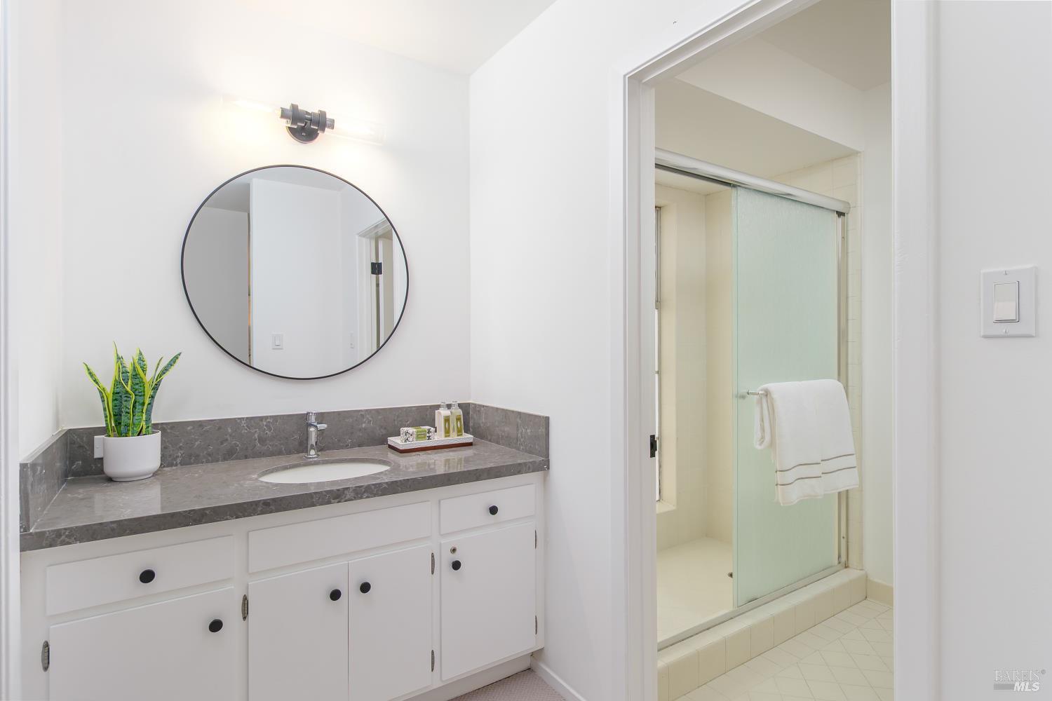 9 Underhill Road Mill Valley, CA 94941 - Photo 20 of 27 a bathroom with a granite countertop sink a mirror and a shower
