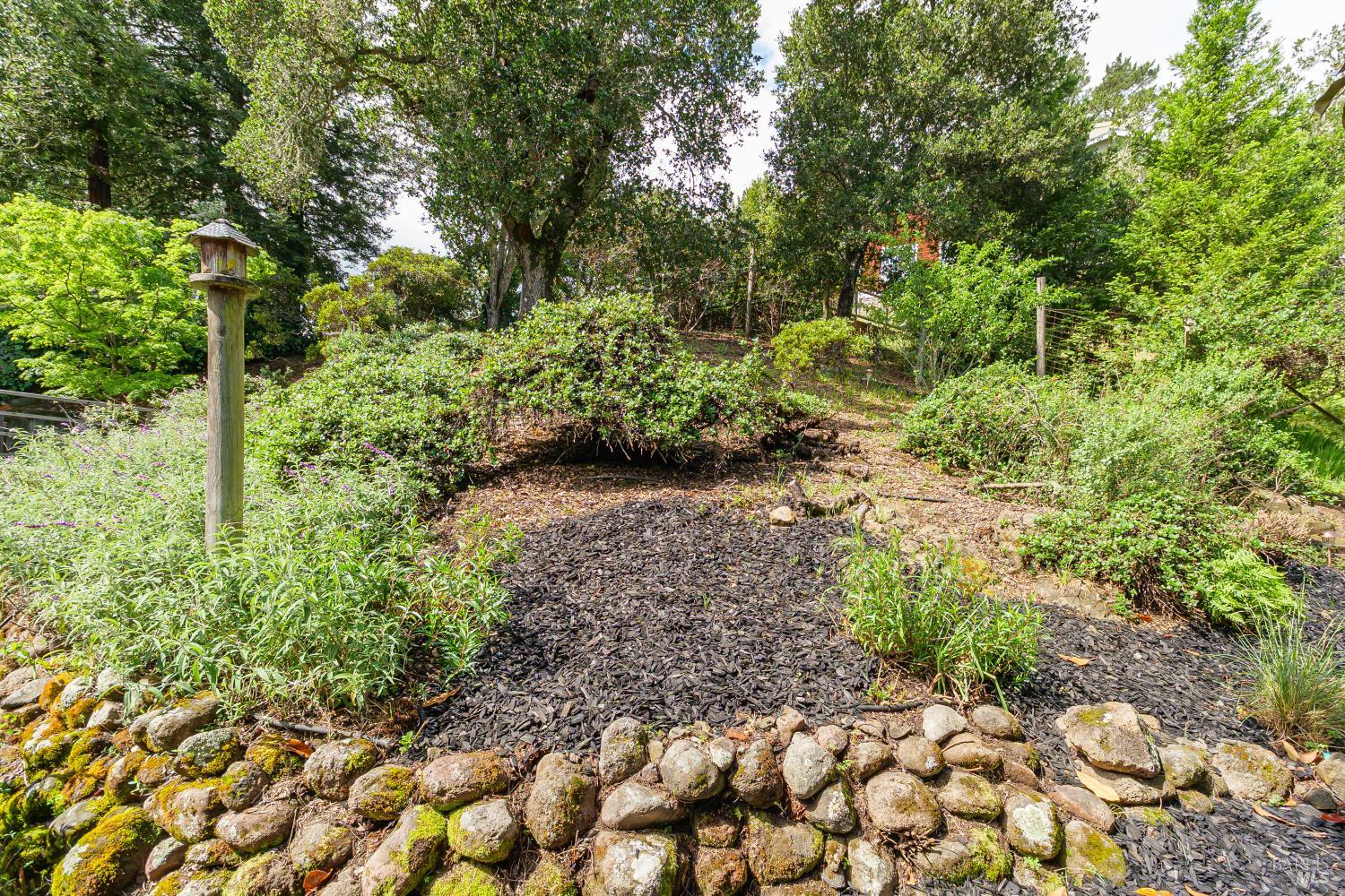 9 Underhill Road Mill Valley, CA 94941 - Photo 24 of 27 a big yard with lots of green space and plants