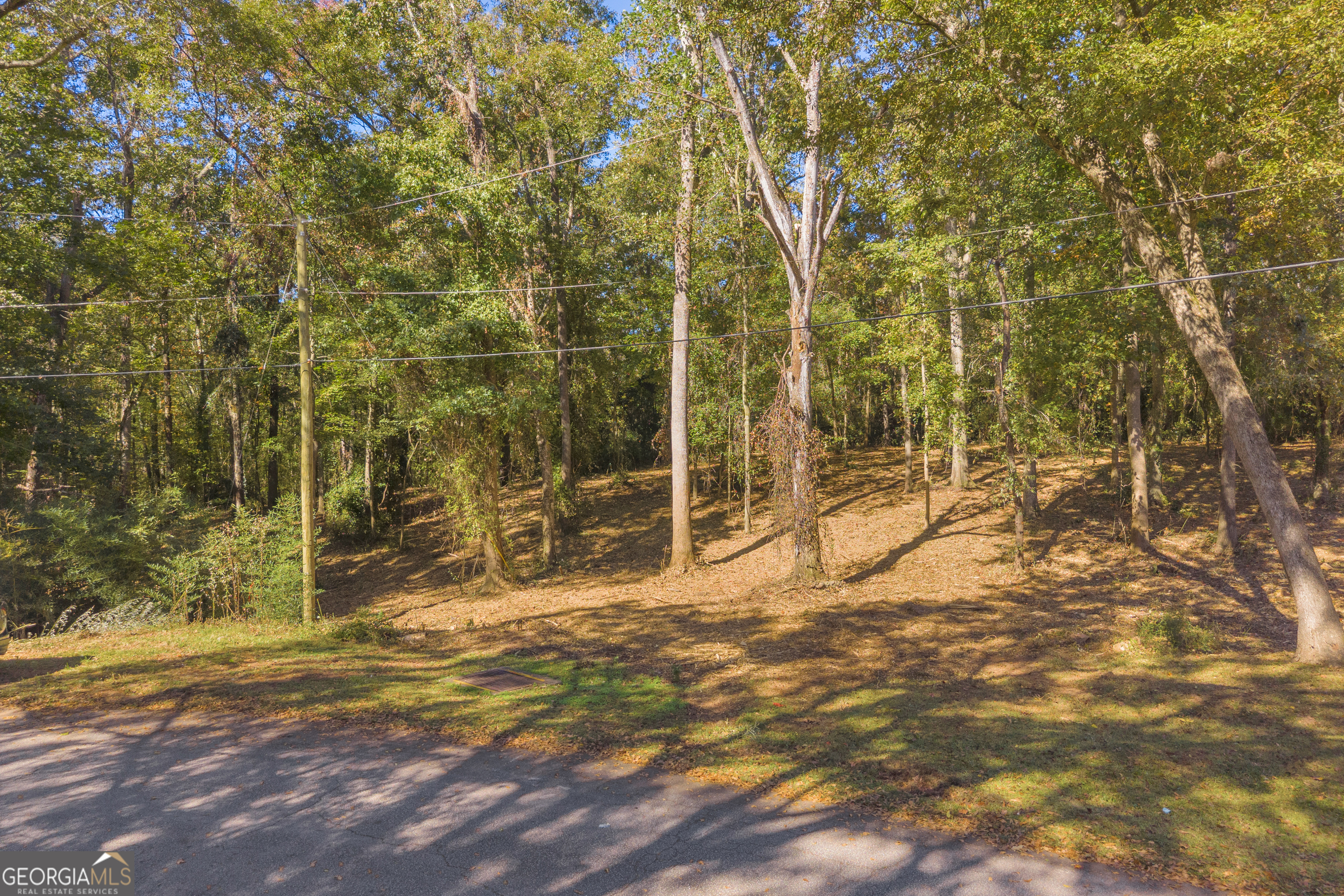 0 Locust Street, Unit LOT 10 Hartwell, GA 30643 - Photo 6 of 25