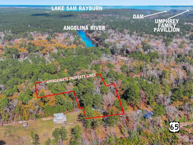 a view of a dry yard